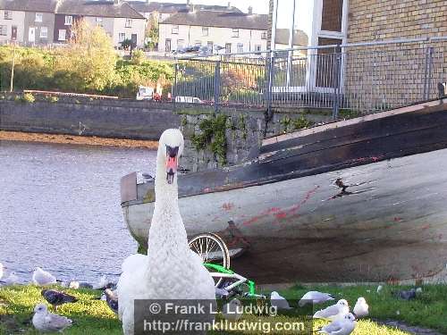 At the Quays
